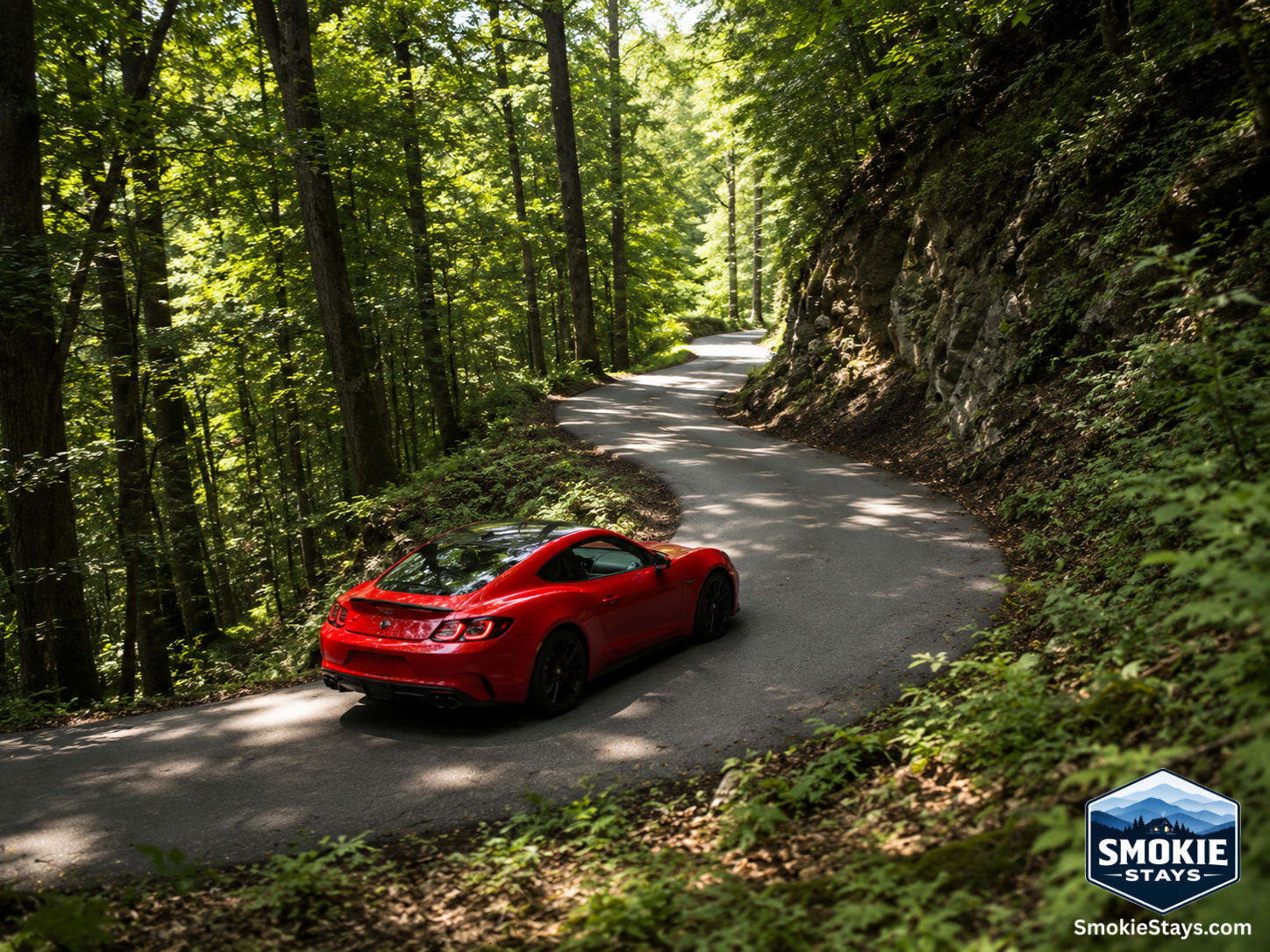 A red sports car navigates a tight technical curve on the Tail of the Dragon — US Route 129 at Deals Gap — surrounded by dense Appalachian forest on the Tennessee–North Carolina border.